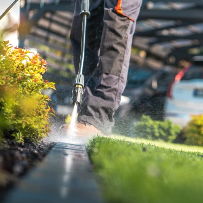 Trustworthy Background