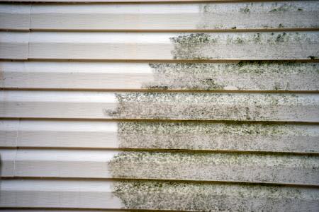 Siding Cleaning